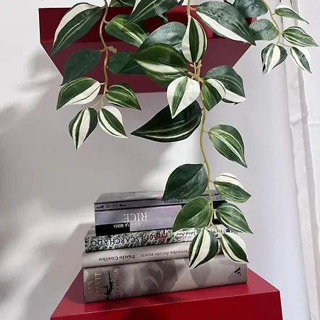 Confortable Con Parking En *